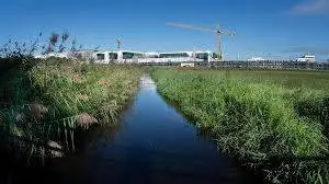 Beekherstel-Run-Heers-Dommel