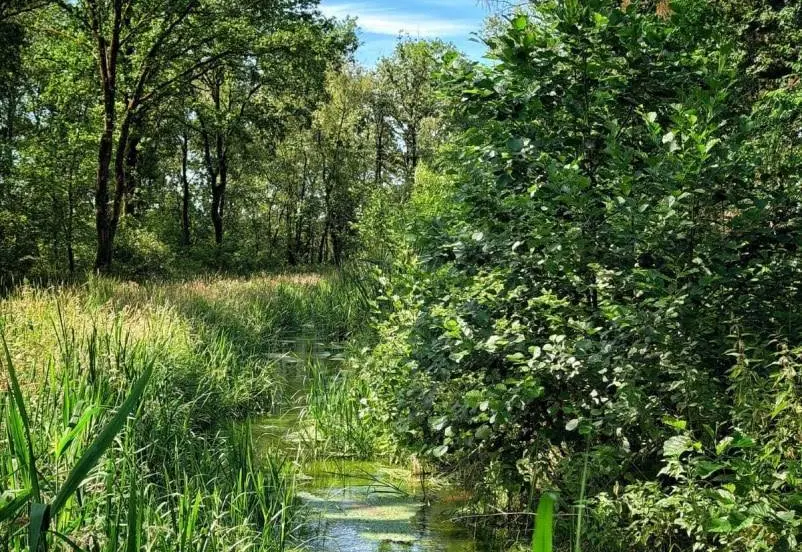 De Run in natuurgebied Grootgoor na fase 1