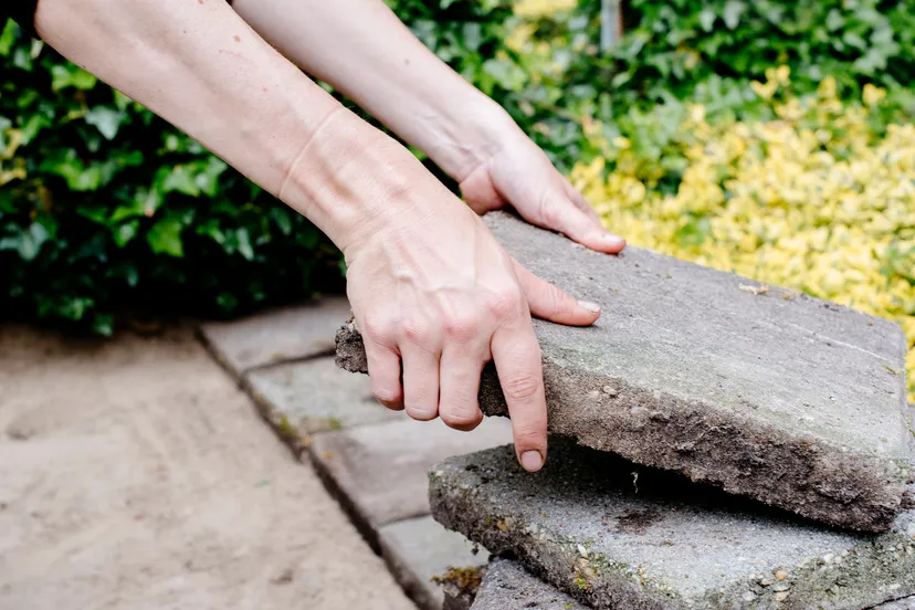 05 nk tegelwippen iamkat