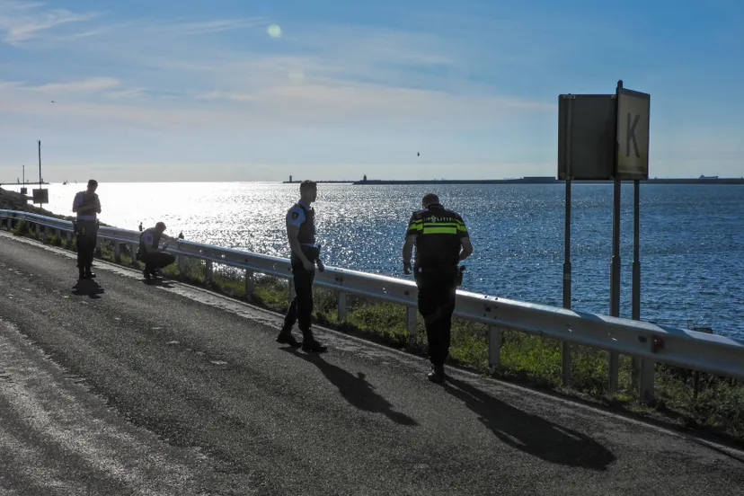 100898963 2901059636659950 1978071811220307968 o