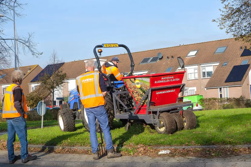 123561684 3372925002806742 3623753879547039676 o