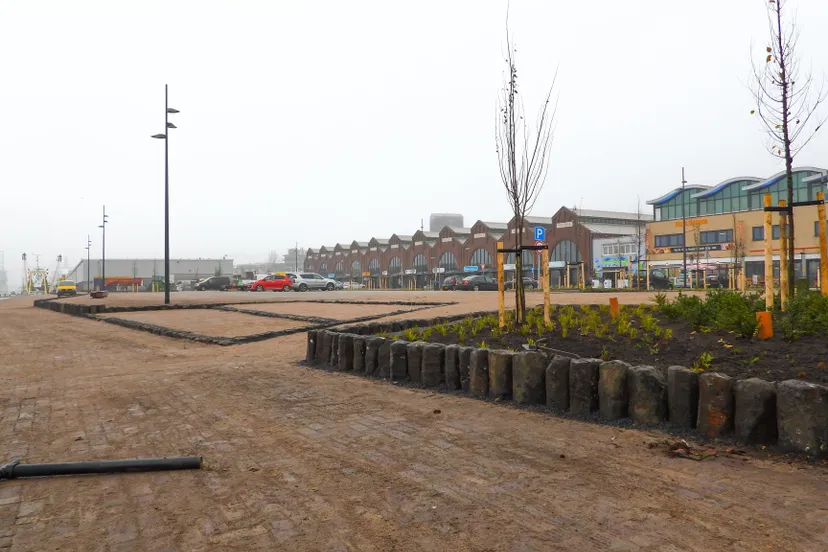 128767652 3437950662970842 909787906270744448 o