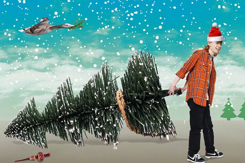 15875066 1815653445375143 4308663163594458953 o