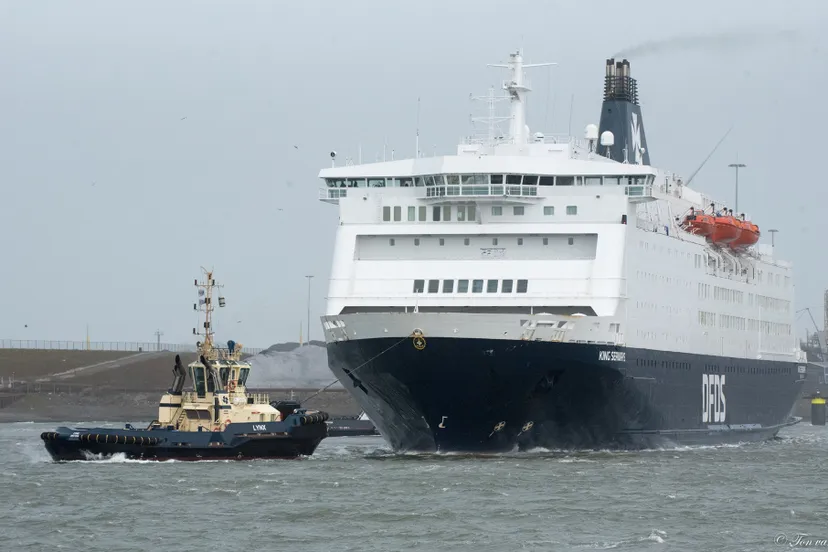 159980230 3703290526436853 5931549782091566490 o