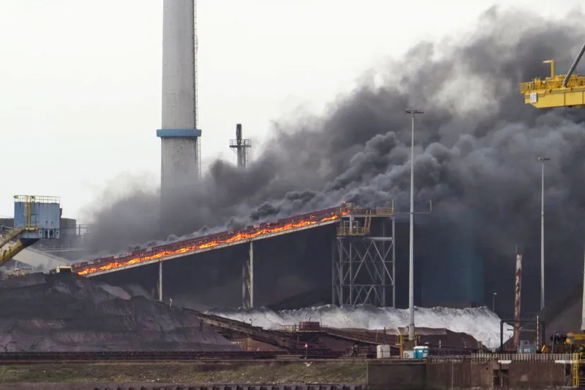 166143777 3746921712071670 2216969680869161003 n