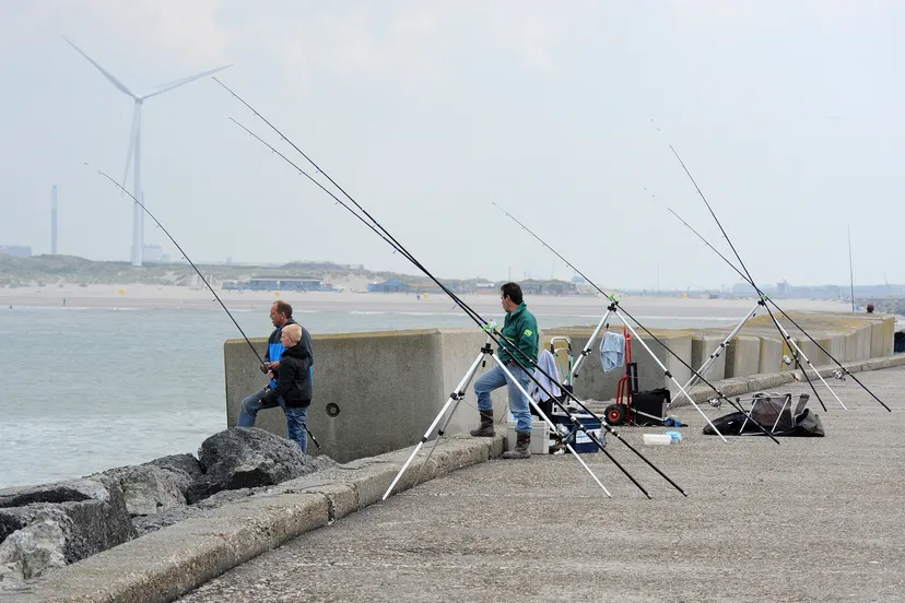 210512 smwn onderzoek sportvisserij pieren van ijmuiden 1