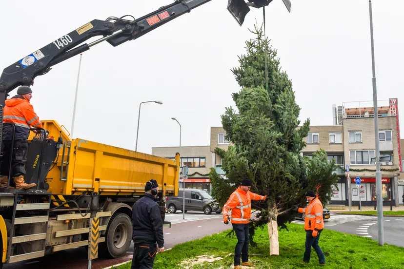 263989057 4500701100029121 8380292923504810105 n