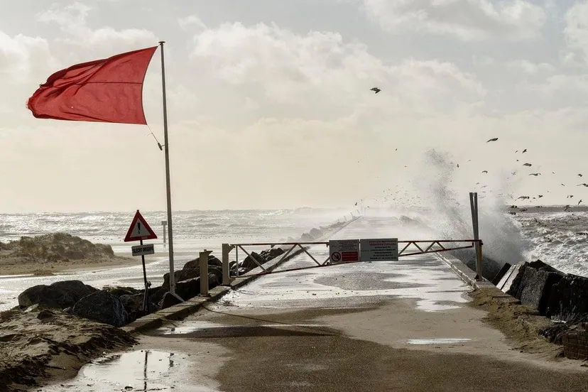 272944266 4718664064918003 5410847590119180076 n