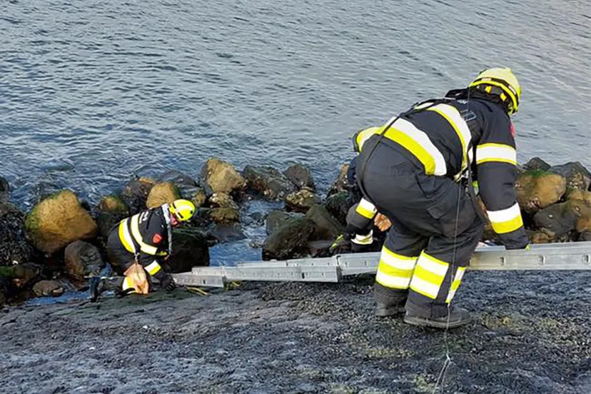 273158037 4726077127510030 7199573246638039442 n2