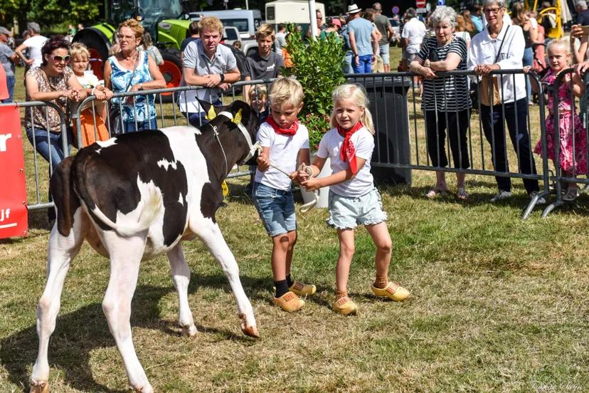 296359756 5222386637860560 8900781830619183159 n