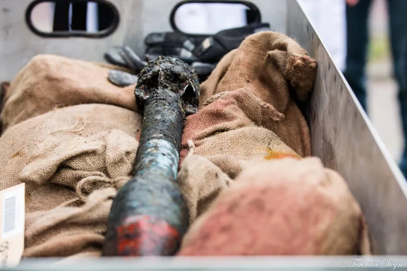 32911615 1628416460590947 6991334024828420096 o