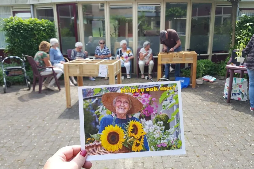 33384179 2088504654756686 9093692401364500480 o