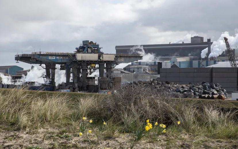 3z1a0255 harsco lente wim meijer fotografie 915x518 1