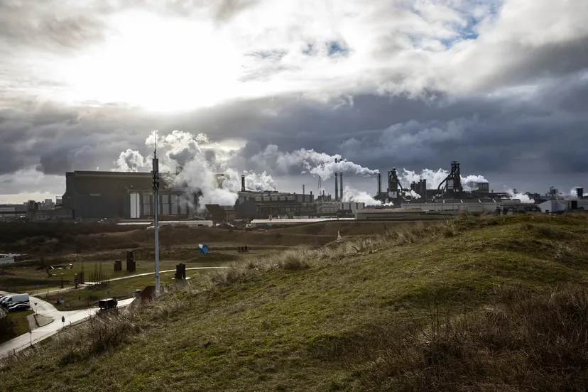 3z1a3195 tata wim meijer fotografie small