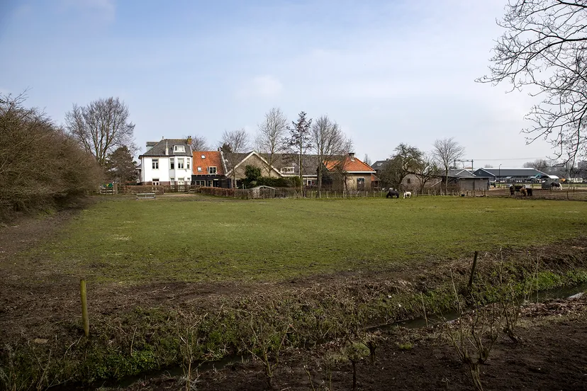 3z1a8926 landje van sinneveld wim meijer fotografie