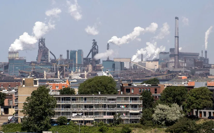 3z1a9376 tata wmf 915x518 1