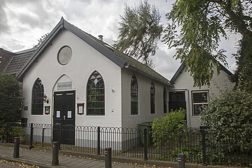 5i5a5602 mosterdzaadje 715x408