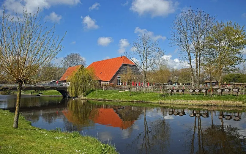 5i5a6955 915x518 1 915x518 1