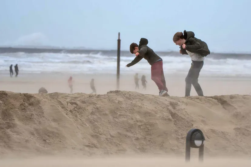 83943699 2658575224241727 5398488155487731712 o 1