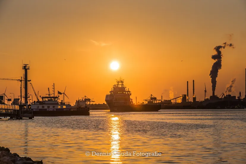 95464317 239775327367826 5485789301423734784 o