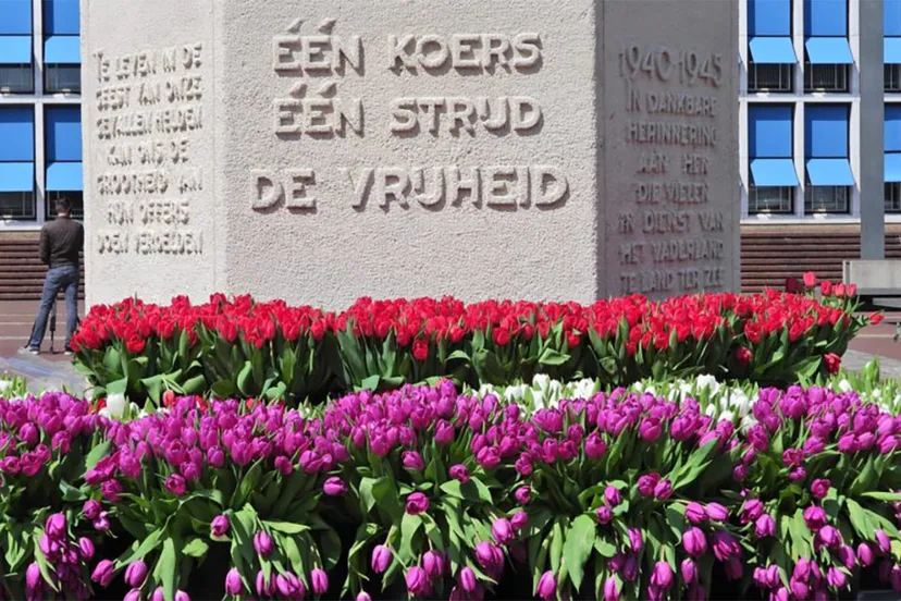 95566213 2843133745785873 4662624463701934080 o 915x518 1