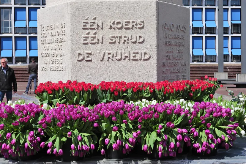 95566213 2843133745785873 4662624463701934080 o