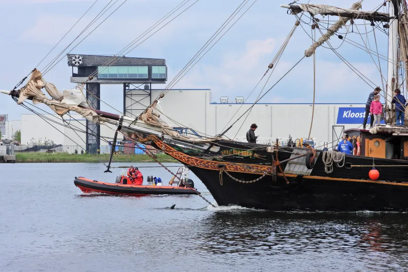 95704608 2841213849311196 9017850996973371392 o