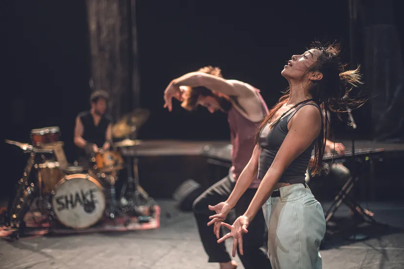 de dansers shake shake shake bart grietens 6