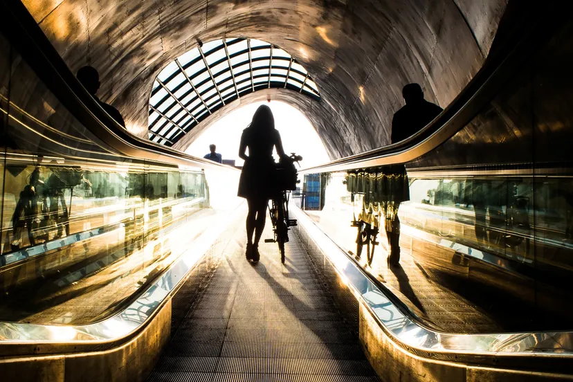 fokko muller golden girl banner