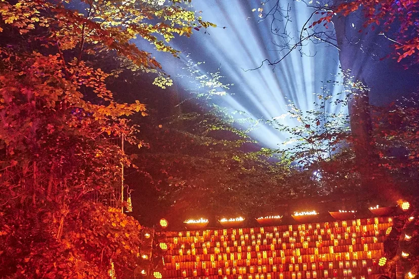 gedenken op westerveld 1