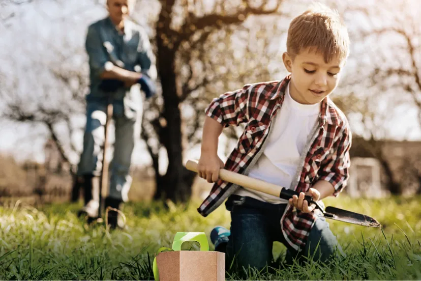 gemeente velsen groen 1