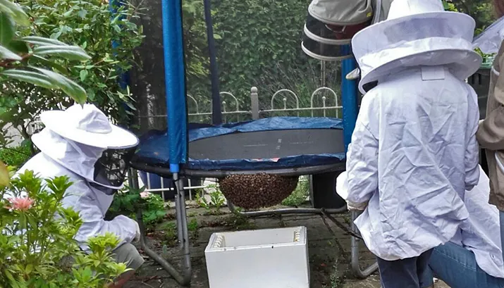 img 20160710 wa0001 banner