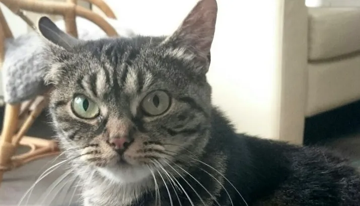 img 20160722 wa0000 banner