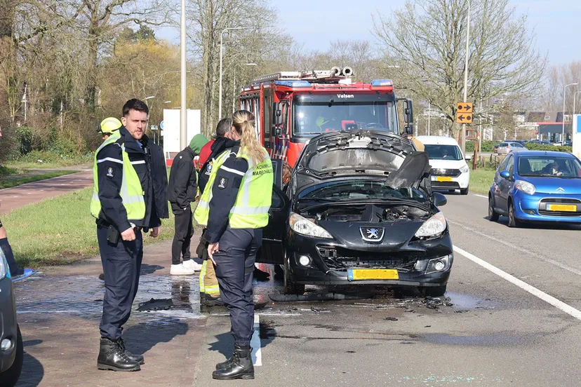 img 20240309 wa0036 kopieren 1