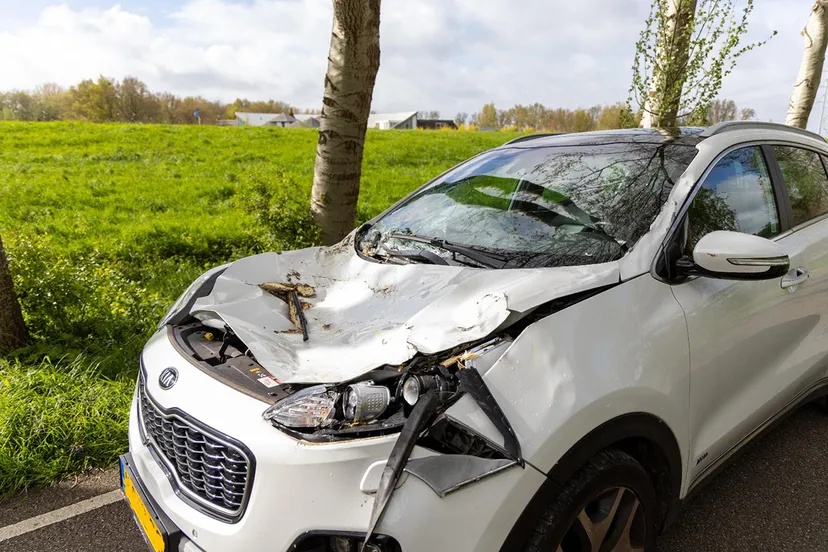 img 20240419 wa0128 copy 1536x1024 kopieren