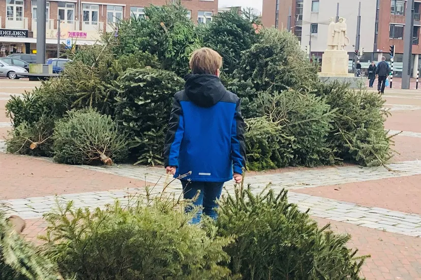 inzameling kerstbomen rechtenvrij