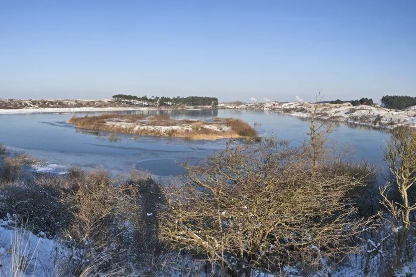 kennemer duinen winter