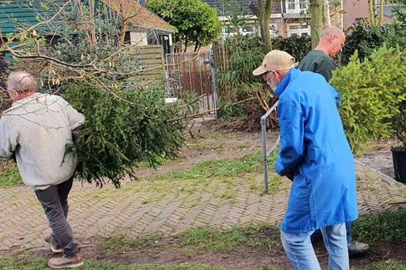 kerstbomen sjouwen2 kopieren
