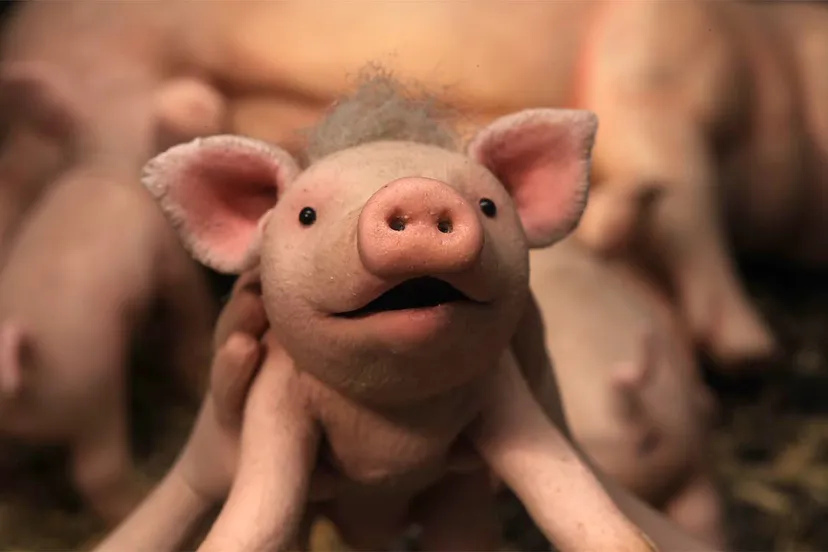 knor st 5 jpg sd low