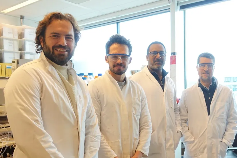 lab team vanadium elektrolyt