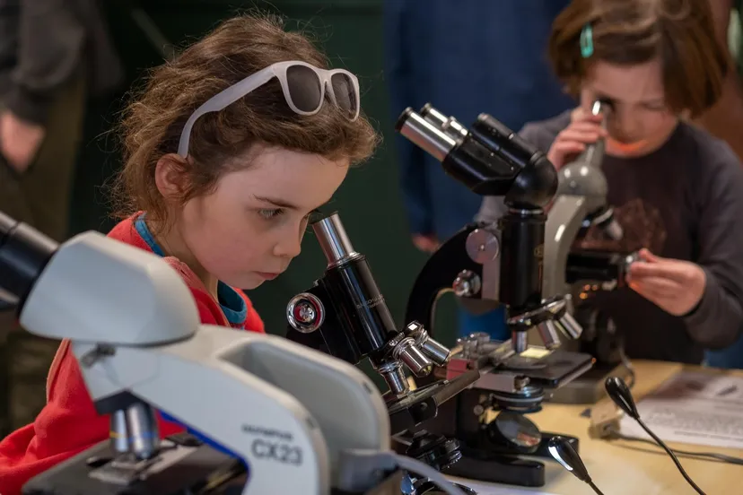 mugje onderzoekt vogelveren foto eva vogelhospitaal