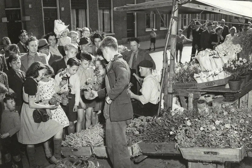 nl hlmnha 1478 39921