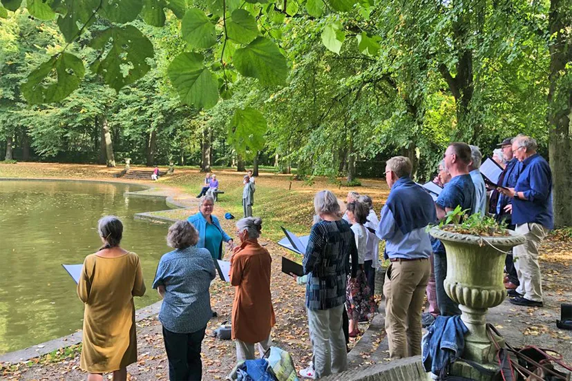 optreden les moucherons in beeckestijn in coronatijd