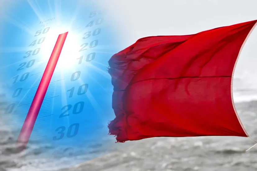 pixabay dennis gouda