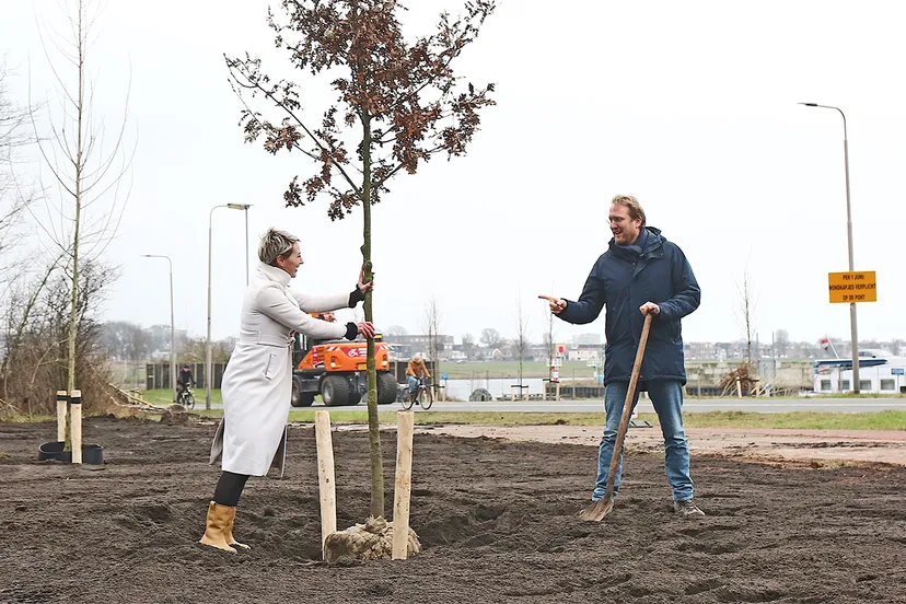 planten boom velsen noord 26 01 2022