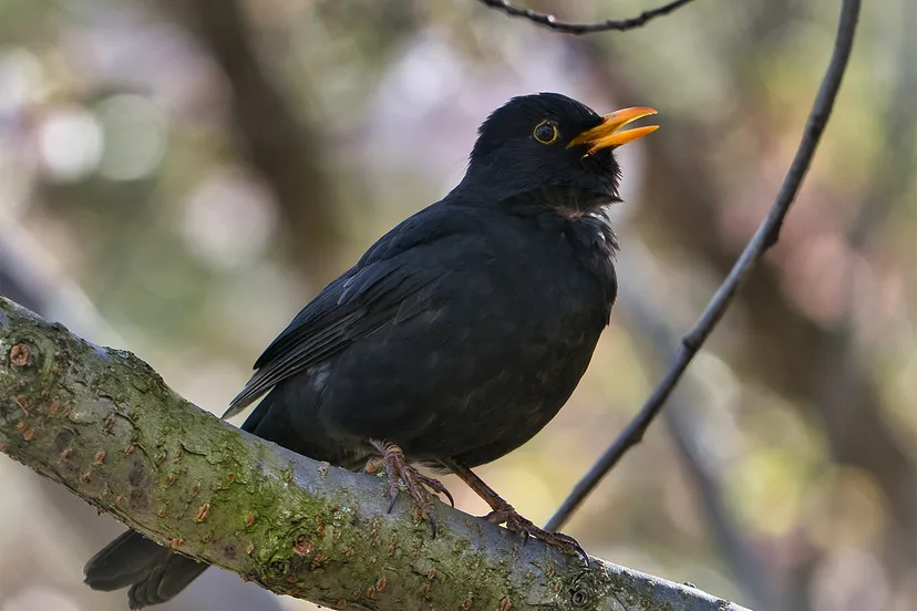 rainhard wiesinger x3c6xwz2nvk unsplash