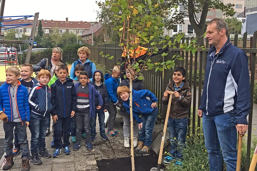 steenbreek tuin vol boomje planten boekanier
