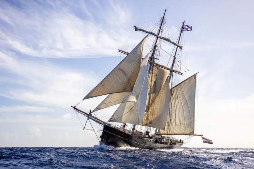 tallship de wylde swan 1