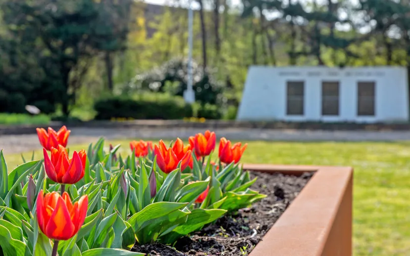 tulpen ho monument 1167 915x518 1