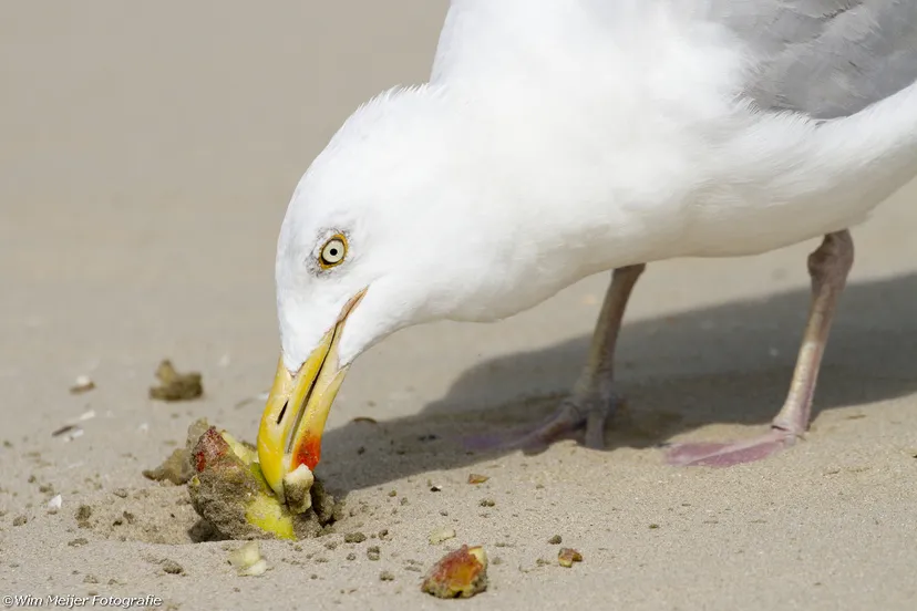 tumblr msat5nvjgr1svvyvco4 1280